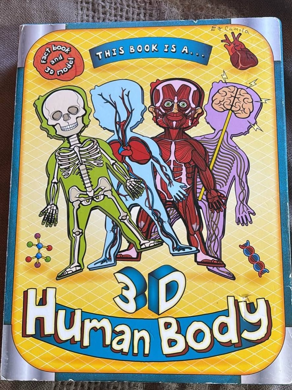 3D Human Body Kids Toy Book